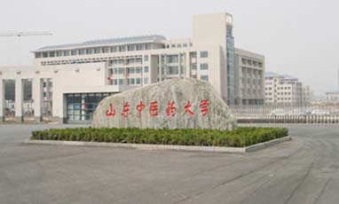 山東中醫(yī)藥大學中心機房建設工程